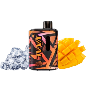 Одноразка VAAL E5000 - Mango Ice (Манго Лід) OD-VL-E5000-MGI фото